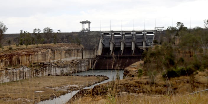 Wivenhoe Dam revegetation to enhance south-east Queensland diversity