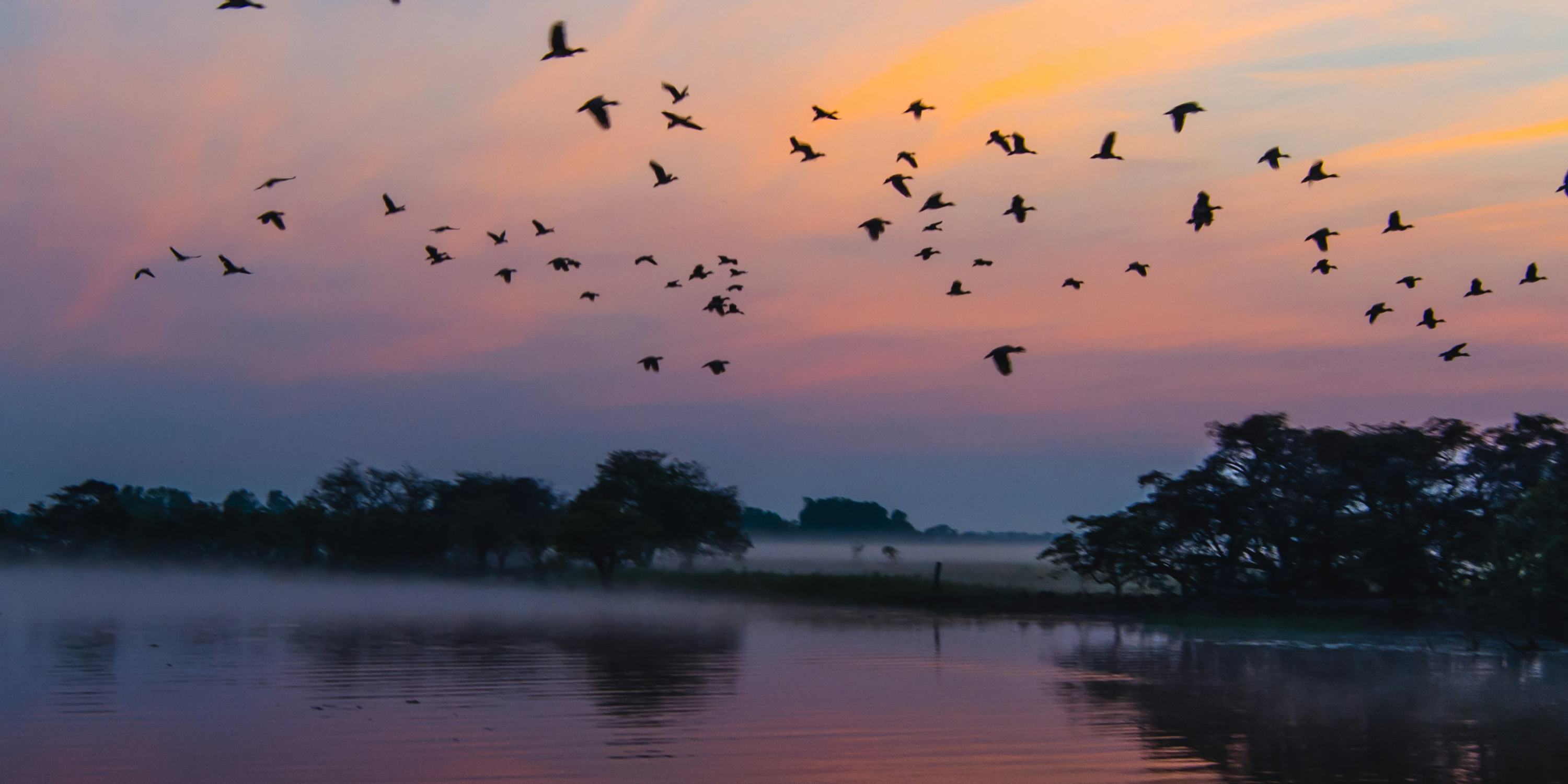 Kakadu floodplains 